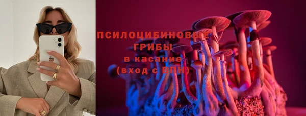 сатива Баксан