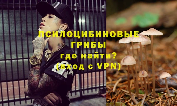 молекула духа Балабаново