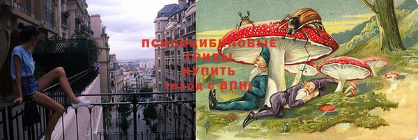 сатива Баксан