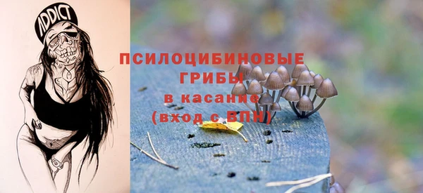 молекула духа Балабаново