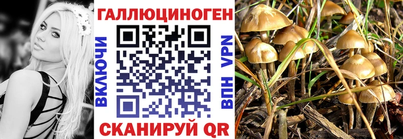 Галлюциногенные грибы мухоморы  цены   Сертолово 