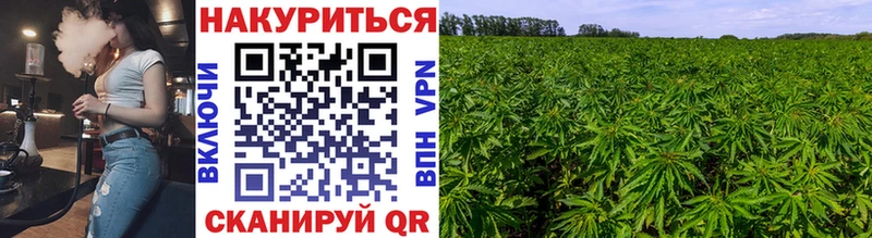Бошки марихуана LSD WEED  Сертолово 